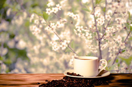 Blossom and Brew: Refreshing Coffee Recipes to Perk Up Your Spring